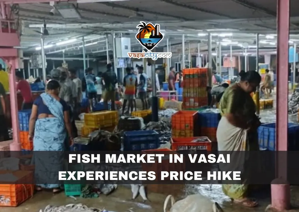 Fish Market in Vasai Experiences Price Hike Fish Market in Vasai Experiences Price Hike