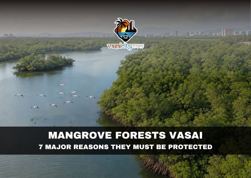 Mangrove Forests Vasai along Vasai Creek protecting wetlands and coastal ecosystem