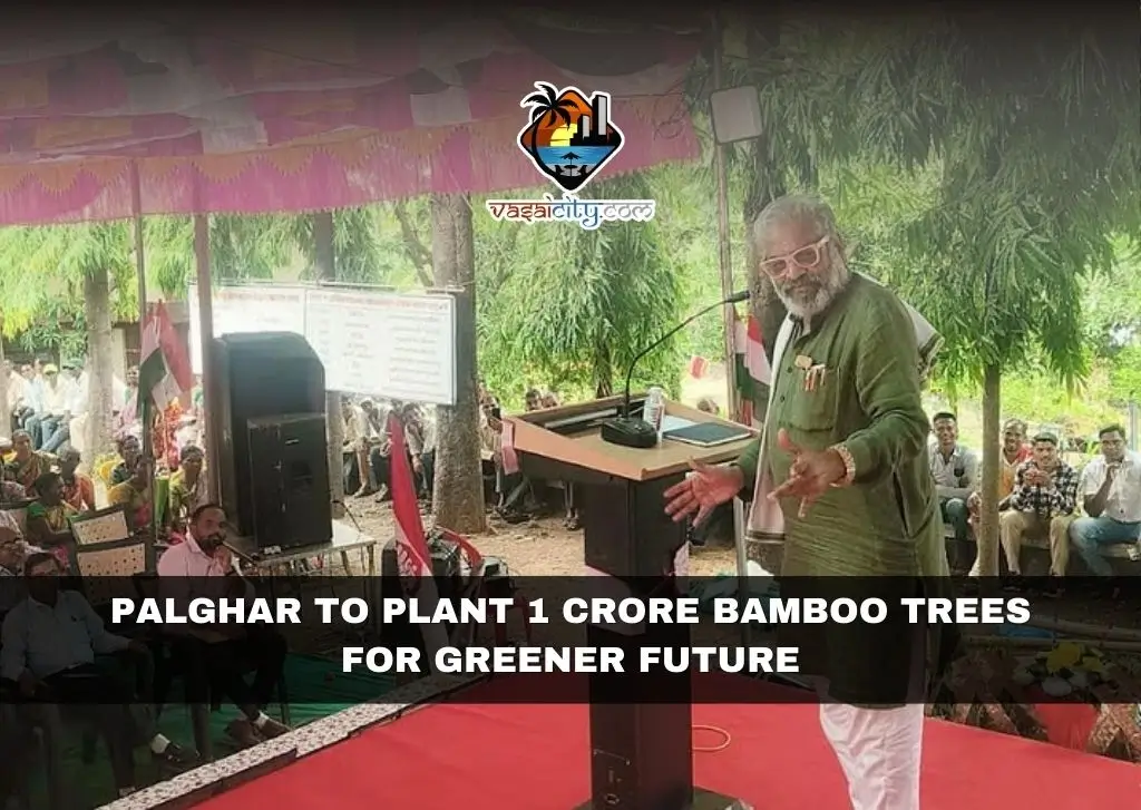 Palghar to Plant 1 Crore Bamboo Trees for Greener Future