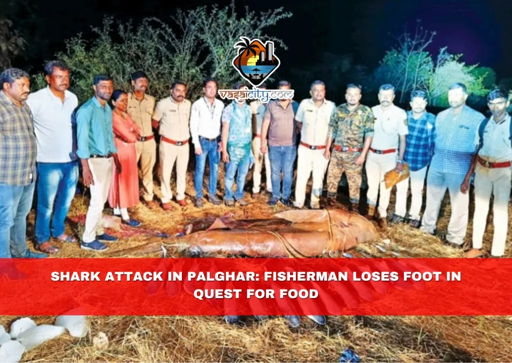 Shark Attack in Palghar: Fisherman Loses Foot in Quest for Food