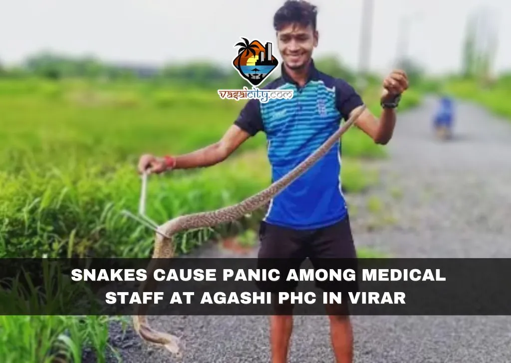 Snakes Cause Panic Among Medical Staff at Agashi PHC in Virar