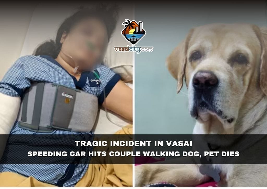 Tragic Incident in Vasai: Speeding Car Hits Couple Walking Dog, Pet Dies Tragic Incident in Vasai: Speeding Car Hits Couple Walking Dog, Pet Dies