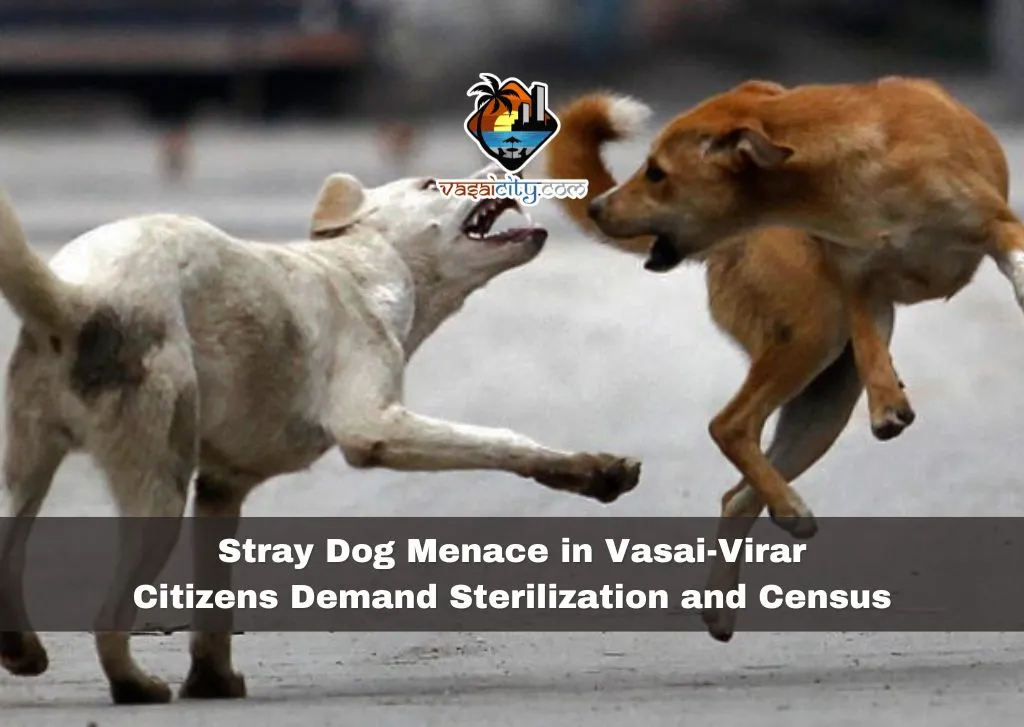 Stray Dog Menace in Vasai-Virar: Citizens Demand Sterilization and Census Stray Dog Menace in Vasai-Virar: Citizens Demand Sterilization and Census