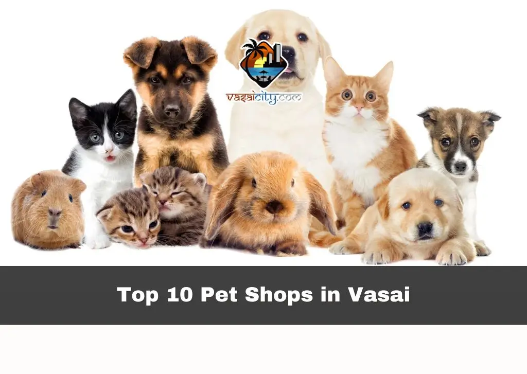 Top 10 Pet Shops in Vasai
