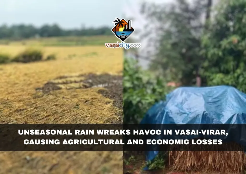 Unseasonal Rain Wreaks Havoc in Vasai-Virar, Causing Agricultural and Economic Losses Unseasonal Rain Wreaks Havoc in Vasai-Virar, Causing Agricultural and Economic Losses