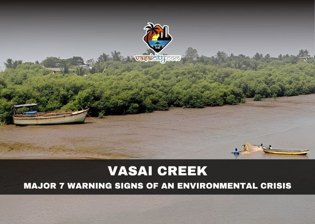 Vasai Creek with mangroves highlighting the environmental challenges facing Vasai Creek.