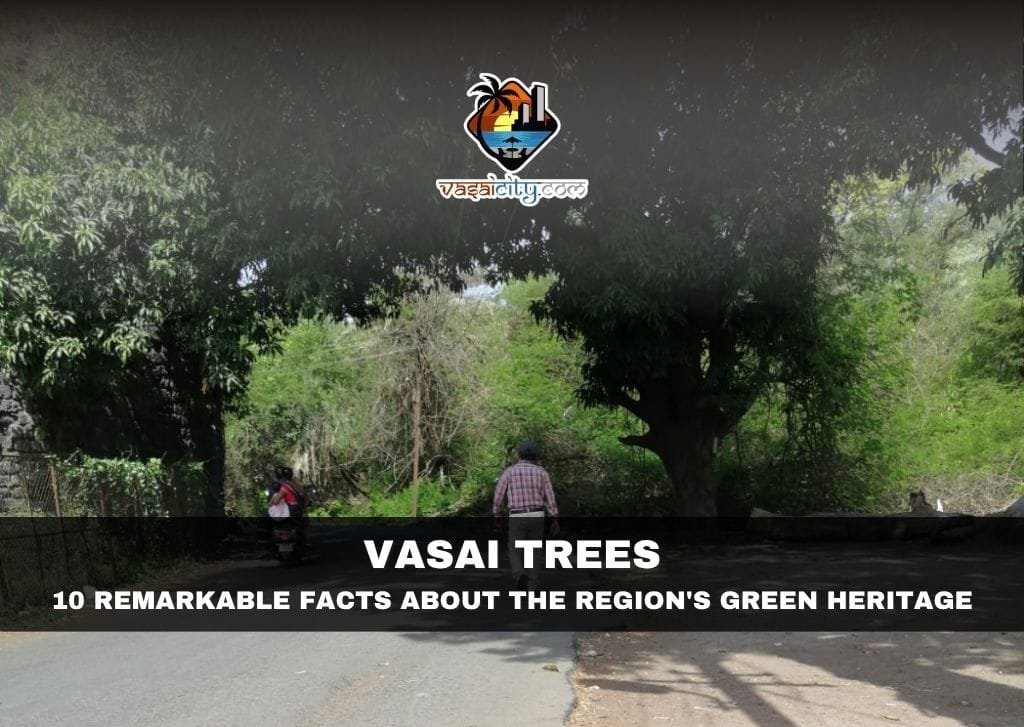 Ancient Vasai Trees including the historic Baobab near Vasai Fort showcasing Vasai's rich green heritage