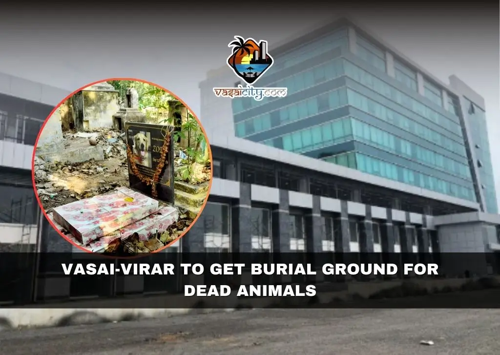 Vasai-Virar to Get Burial Ground for Dead Animals Vasai-Virar to Get Burial Ground for Dead Animals
