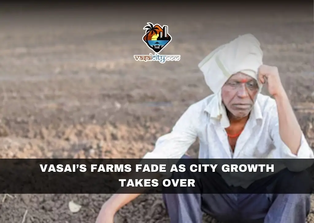 Vasai’s Farms Fade as City Growth Takes Over Vasai’s Farms Fade as City Growth Takes Over
